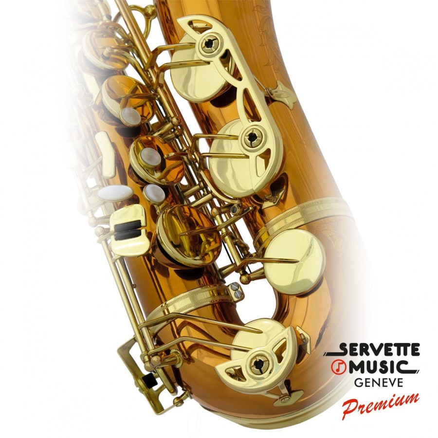 Saxophone Alto Advences, modèle A900PPV série Bronze
