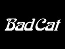 BADCAT
