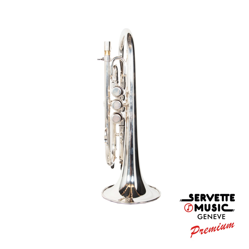 Eclipse Standard Argenté en Mib 2