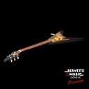Gibson CS Lenny Kravitz Signature '67 Flying V Ebony/Gold Sparkle Ltd 2002 6