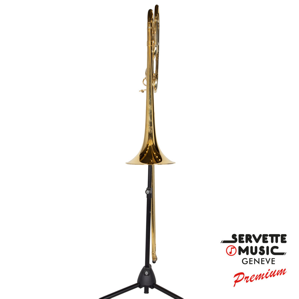 Hagmann-Custom-Tenor-Large-Bore-X-plaqué-or-4.webp