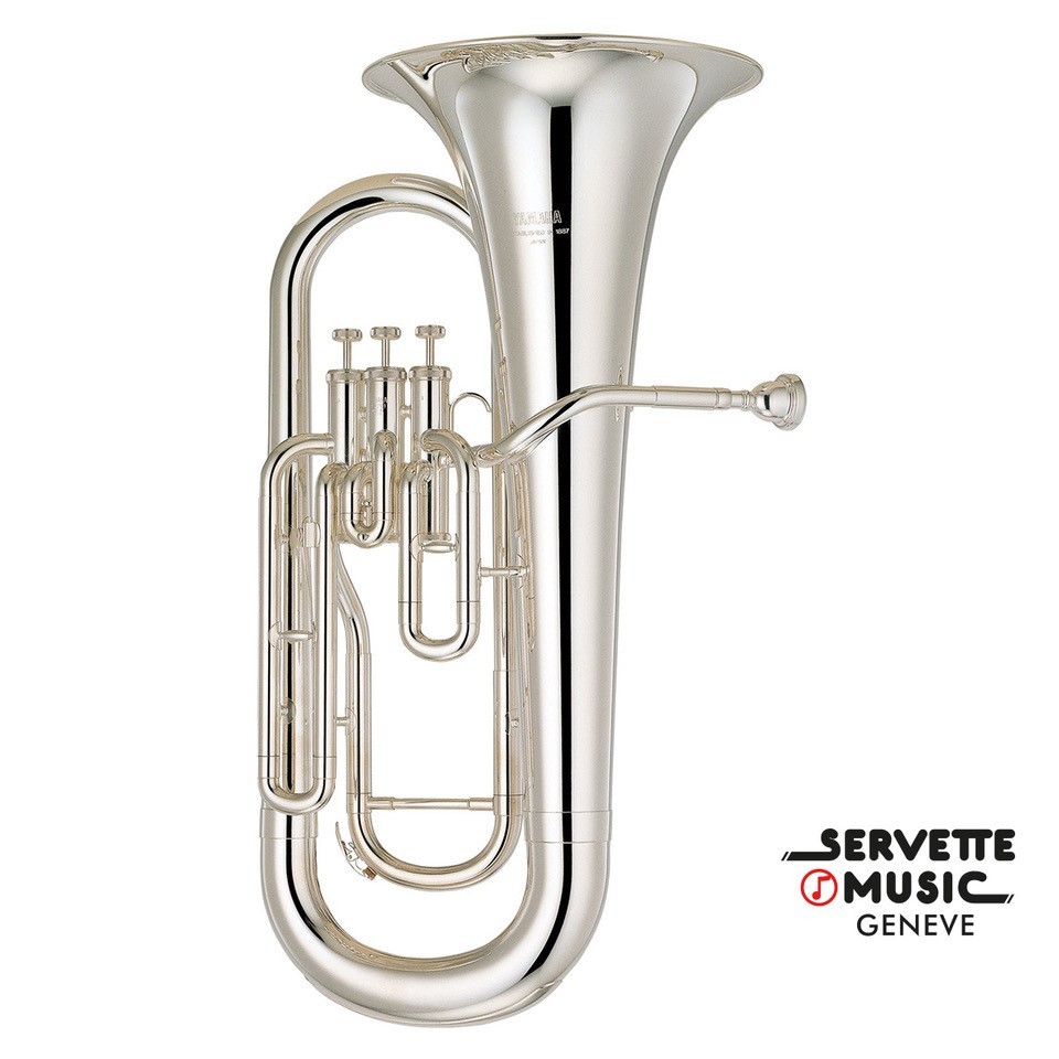 Yamaha YEP-201 S