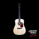 Collings D2H AT