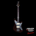 De Leeuw Custom Jazzmaster Ziricote