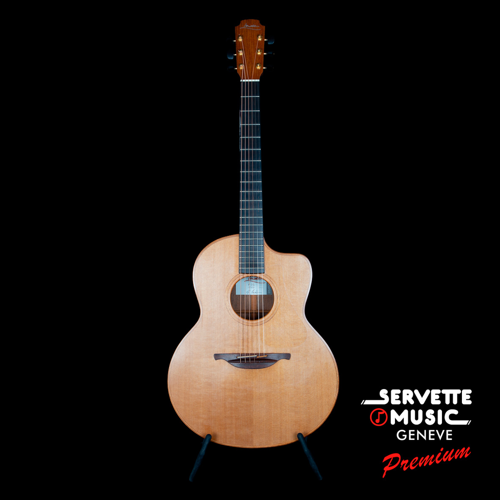 Lowden F25CE RC/IR