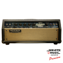 Mesa Boogie Dual Rectifier Blue Angel Head