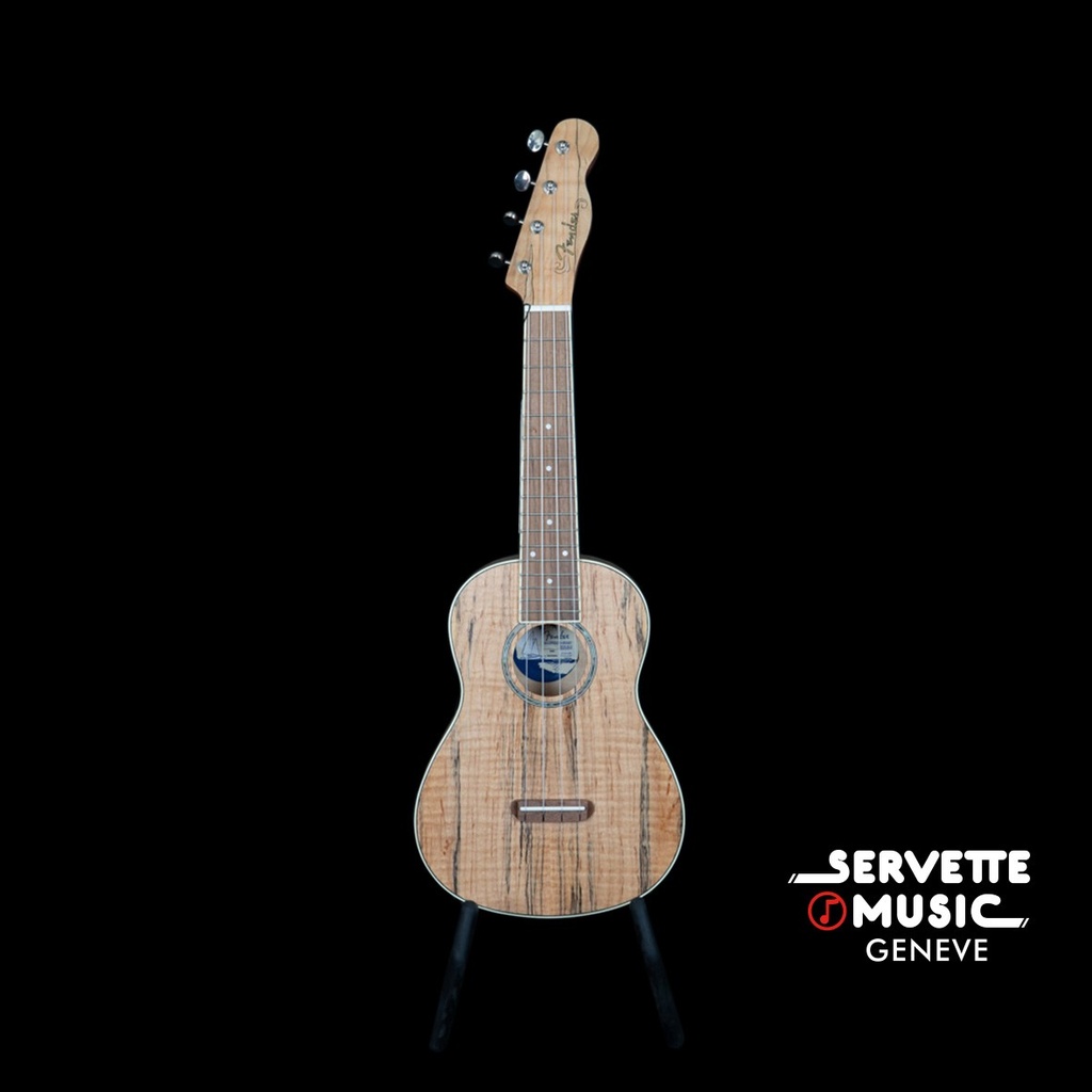 [Fender Zuma Concert WN Spalted] Fender Zuma Concert WN Spalted