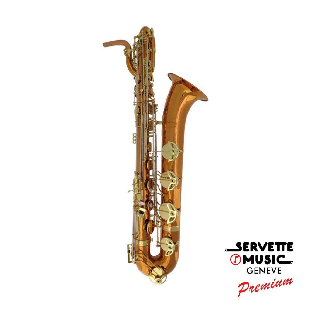 [Advences Baryton B900V serie Bronze (au La grave)] Advences Baryton B900V serie Bronze (to the low A)