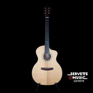 Dowina Master Amber Road GACE-ANT SS/IR