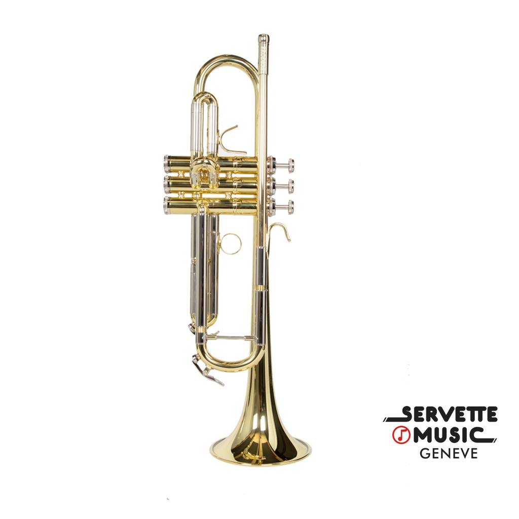[B&S Prodige 210 LR Vernie] B&S Prodige 210 LR vernie