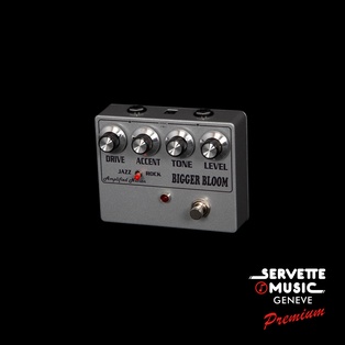 Amplified Nation Bigger Bloom Overdrive