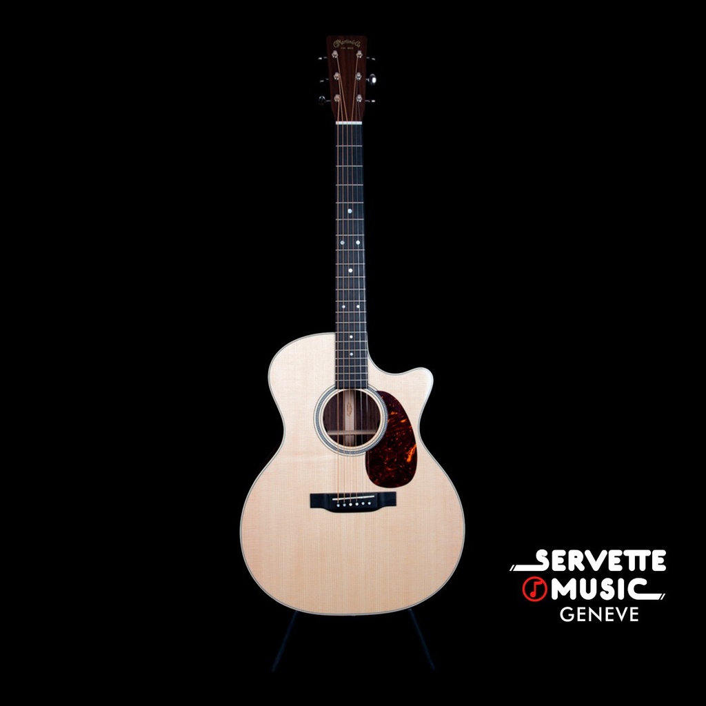 [Martin GP GPC-16E] Martin DS16 GPC-16E